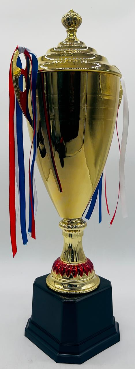 AKDC 54cm Gold Trophy Cup for Sports Tournaments and Competitions, Metal Award with Plastic Base, Perfect for Game Events