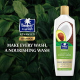 Parachute Advanced Coconut & Avocado Daily Moisture Shampoo, 340 ml