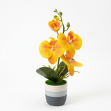 Artificial Yellow Orchid Flower Plant in Ceramic Pot - 30cm