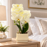 Artificial Orchid Flower Plant with Ceramic Pot Cream - 40cm