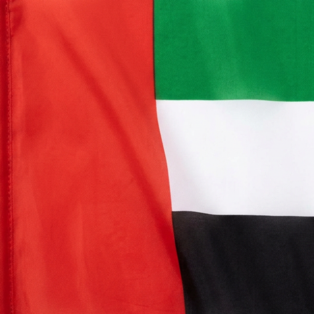 UAE Flag with Wooden Stick 12 piece Set – 60×90cm
