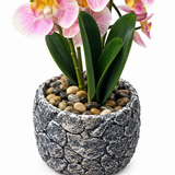 Artificial Orchid Flower Plant with Ceramic Pot Light Pink – 40cm