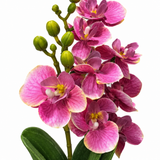 Artificial Orchid Flower Plant with Ceramic Pot Pink - 40cm