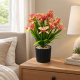Zeem Artificial Flower Plant in Black Plastic Pot - 28cm