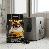 Bomshy Natural Carbon Bentonite Cat Litter, 5 Litre