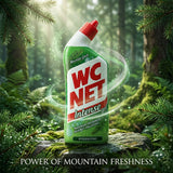 WC Net Intense Gel Toilet Cleaner Mountain Fresh – 750 ml