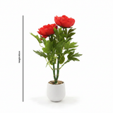 Artificial Flower Plant Red with White Plastic Pot - 40cm