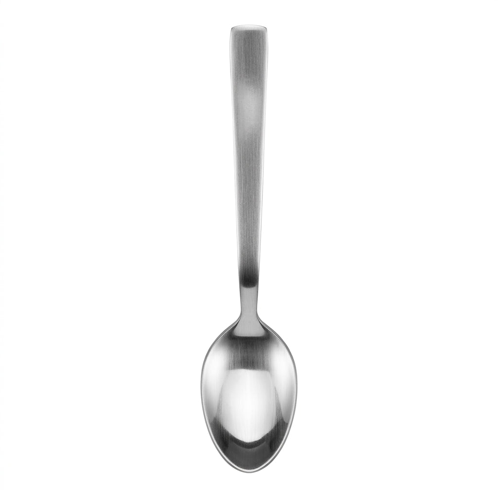 Stainless Steel Spoon Set of 6 - 20cm Matt Silver
