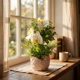 Artificial White Orchid Flower with Textured Chalk Pot - 30 cm