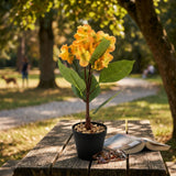 Yellow & Orange Artificial Flower Plant with Black Plastic Pot - 45 cm
