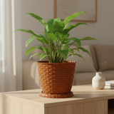 Brown Plastic Rattan Flower Pot - 17×20cm