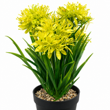 Zeem Artificial Flower Plant in Black Plastic Pot - 28cm