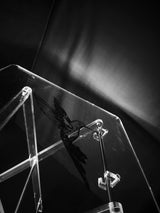 Acrylic Serving Coffee Table Set Of 4 With Stand 40Cmx50Cm Clear With Black Humming Bird Design - Al Kabayel Discount CentreAcrylic Serving Coffee Table Set Of 4 With Stand 40Cmx50Cm Clear With Black Humming Bird DesignServing TraysAKDCAl Kabayel Discount Centre