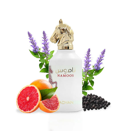 Adyan by Anfar Namoos Eau de Parfum 100ml - Al Kabayel Discount CentreAdyan by Anfar Namoos Eau de Parfum 100mlPerfumesANFARAl Kabayel Discount Centre