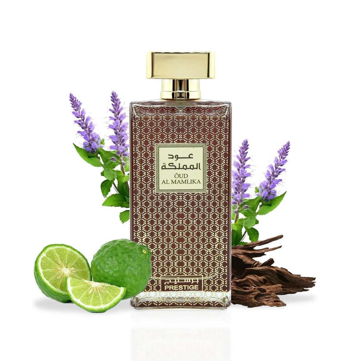 Adyan by Anfar Oud Al Mamlika Eau de Parfum 100ml - Al Kabayel Discount CentreAdyan by Anfar Oud Al Mamlika Eau de Parfum 100mlPerfumesANFARAl Kabayel Discount Centre