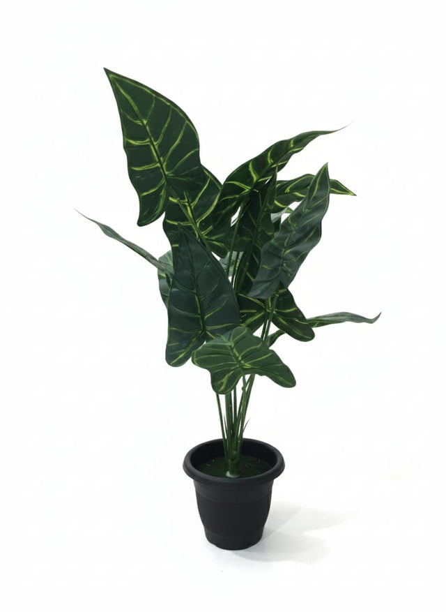 AKDC Artificial Alocasia Potted Plant - Realistic Plastic Leaves in a Sturdy Plastic Pot, No Watering Needed, 54 cm Height," - Features plastic leaves that authentically mimic the bold, arrow - shaped foliage of real alocasia. - Al Kabayel Discount CentreAKDC Artificial Alocasia Potted Plant - Realistic Plastic Leaves in a Sturdy Plastic Pot, No Watering Needed, 54 cm Height," - Features plastic leaves that authentically mimic the bold, arrow - shaped foliage of real alocasia.Artificial FloraAKD