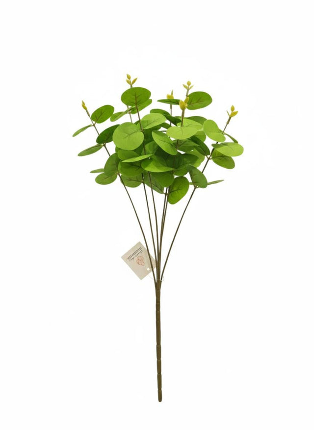 AKDC Artificial Eucalyptus Branch - Plastic Foliage Stem with Fresh - Looking Leaves, Great for Floral Arrangements, 40 cm," - Made from lightweight plastic that mirrors the slender, green leaves of fresh eucalyptus. - Al Kabayel Discount CentreAKDC Artificial Eucalyptus Branch - Plastic Foliage Stem with Fresh - Looking Leaves, Great for Floral Arrangements, 40 cm," - Made from lightweight plastic that mirrors the slender, green leaves of fresh eucalyptus.Artificial FloraAKDCAl Kabayel Discount