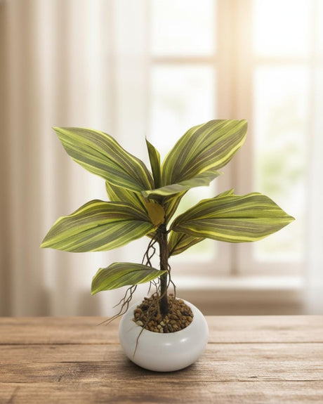 AKDC Artificial Kiwi Plant - Plastic with Ceramic Pot, Exotic Vines for Tropical Home Decor Inspiration, 35 cm," - Plastic kiwi vines for exotic look. - Al Kabayel Discount CentreAKDC Artificial Kiwi Plant - Plastic with Ceramic Pot, Exotic Vines for Tropical Home Decor Inspiration, 35 cm," - Plastic kiwi vines for exotic look.Artificial FloraAKDCAl Kabayel Discount Centre