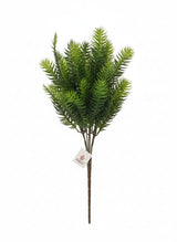 AKDC Artificial Norfolk Pine Branch - Durable Plastic Greenery with Natural Pine Appearance, Ideal for Home or Office, 54 cm," - Constructed from sturdy plastic material that captures the soft, needle - like foliage of Norfolk pine trees. - Al Kabayel Discount CentreAKDC Artificial Norfolk Pine Branch - Durable Plastic Greenery with Natural Pine Appearance, Ideal for Home or Office, 54 cm," - Constructed from sturdy plastic material that captures the soft, needle - like foliage of Norfolk pine t