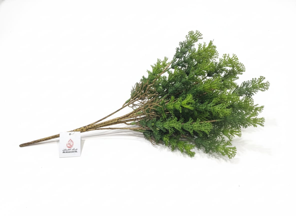 AKDC Artificial Pine Branch - Lifelike Plastic Evergreen Greenery, Perfect for Year - Round Display, 54 cm Length," - Made from high - quality plastic to replicate the texture and color of real pine needles for authentic appeal. - Al Kabayel Discount CentreAKDC Artificial Pine Branch - Lifelike Plastic Evergreen Greenery, Perfect for Year - Round Display, 54 cm Length," - Made from high - quality plastic to replicate the texture and color of real pine needles for authentic appeal.Artificial Flor