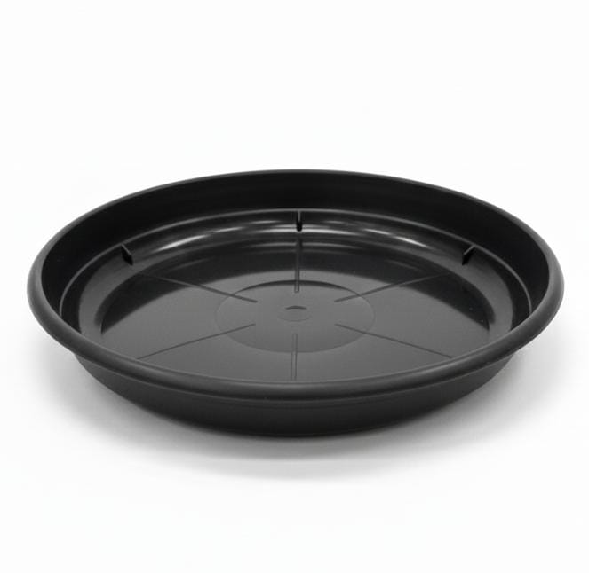 AKDC Black Plastic Plant Pot Plate – Durable Round Drip Tray – 22 cm - Al Kabayel Discount CentreAKDC Black Plastic Plant Pot Plate – Durable Round Drip Tray – 22 cmFlower/Plant PotsAKDCAl Kabayel Discount Centre