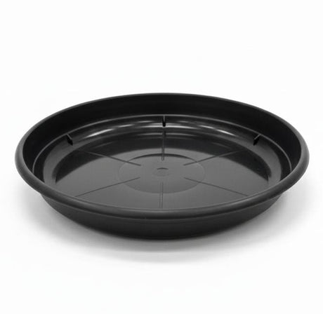 AKDC Black Plastic Plant Pot Plate – Durable Round Drip Tray – 22 cm - Al Kabayel Discount CentreAKDC Black Plastic Plant Pot Plate – Durable Round Drip Tray – 22 cmFlower/Plant PotsAKDCAl Kabayel Discount Centre
