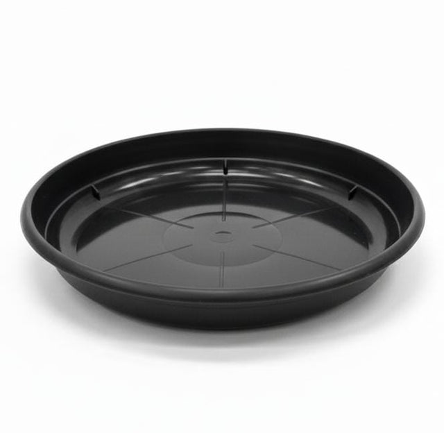 AKDC Black Plastic Plant Pot Plate – Durable Round Drip Tray – 22 cm - Al Kabayel Discount CentreAKDC Black Plastic Plant Pot Plate – Durable Round Drip Tray – 22 cmFlower/Plant PotsAKDCAl Kabayel Discount Centre