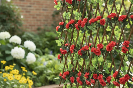 AKDC Bloom Trellis Expandable Wooden Frame with Red Flowers & Green Leaves – 120×20 cm (Unexpanded) Floral Screen - Al Kabayel Discount CentreAKDC Bloom Trellis Expandable Wooden Frame with Red Flowers & Green Leaves – 120×20 cm (Unexpanded) Floral ScreenArtificial FloraAKDCAl Kabayel Discount Centre