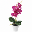 AKDC Ceramic White Pot with Polyester Pink Orchid Plant 31*7 cm - Al Kabayel Discount CentreAKDC Ceramic White Pot with Polyester Pink Orchid Plant 31*7 cmArtificial FloraAKDCAl Kabayel Discount Centre