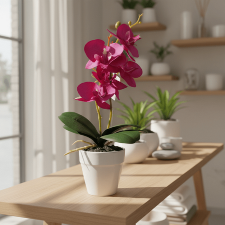 AKDC Ceramic White Pot with Polyester Pink Orchid Plant 31*7 cm - Al Kabayel Discount CentreAKDC Ceramic White Pot with Polyester Pink Orchid Plant 31*7 cmArtificial FloraAKDCAl Kabayel Discount Centre