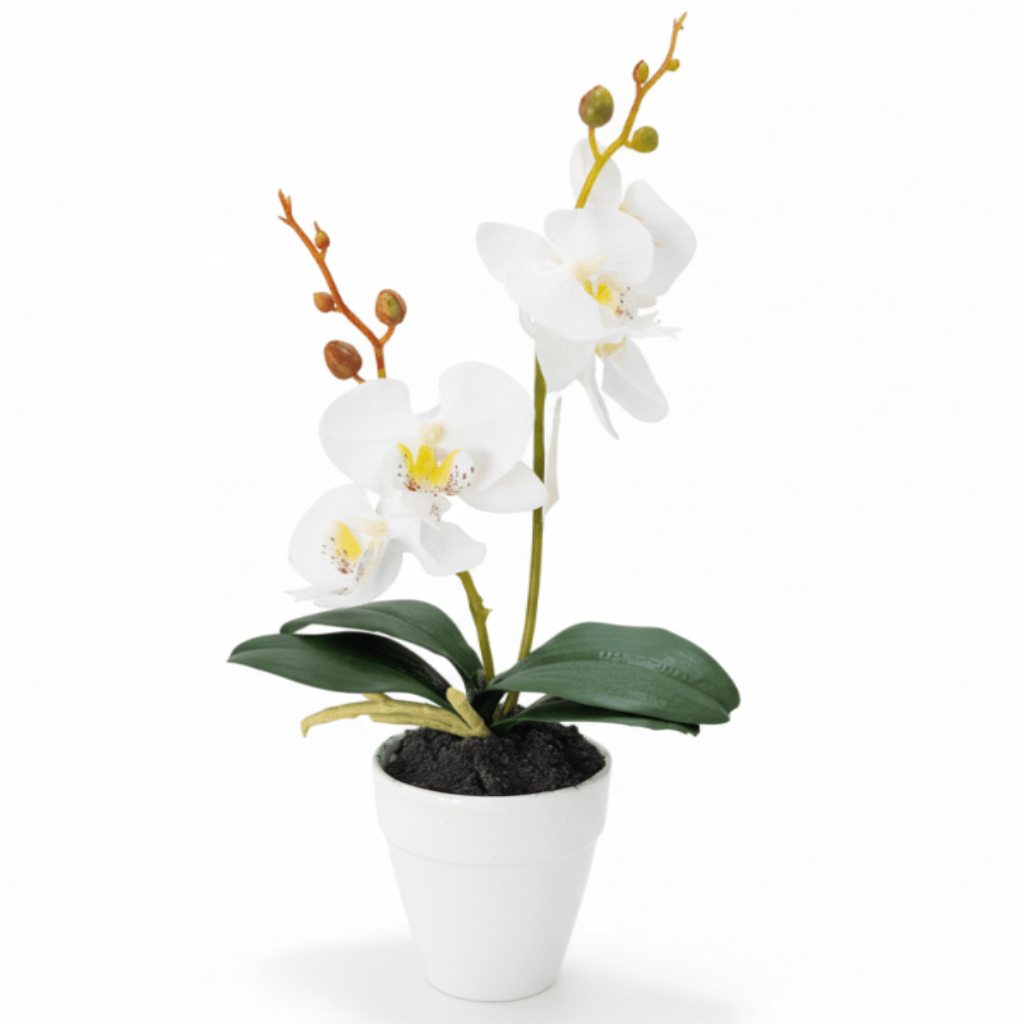 AKDC Ceramic White Pot With Polyster White Orchid Plant 31*7 cm - Al Kabayel Discount CentreAKDC Ceramic White Pot With Polyster White Orchid Plant 31*7 cmArtificial FloraAKDCAl Kabayel Discount Centre