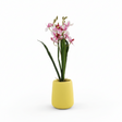 AKDC Ceramic Yellow Pot With Polyster Pink Orchid Plant 37*10 Cm - Al Kabayel Discount CentreAKDC Ceramic Yellow Pot With Polyster Pink Orchid Plant 37*10 CmArtificial FloraAKDCAl Kabayel Discount Centre