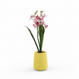 AKDC Ceramic Yellow Pot With Polyster Pink Orchid Plant 37*10 Cm - Al Kabayel Discount CentreAKDC Ceramic Yellow Pot With Polyster Pink Orchid Plant 37*10 CmArtificial FloraAKDCAl Kabayel Discount Centre