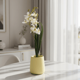 AKDC Ceramic Yellow Pot With Polyster White Orchid Plant 37*10 Cm - Al Kabayel Discount CentreAKDC Ceramic Yellow Pot With Polyster White Orchid Plant 37*10 CmArtificial FloraAKDCAl Kabayel Discount Centre