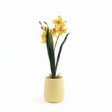 AKDC Ceramic Yellow Pot With Polyster Yellow Orchid Plant 37*10 Cm - Al Kabayel Discount CentreAKDC Ceramic Yellow Pot With Polyster Yellow Orchid Plant 37*10 CmArtificial FloraAKDCAl Kabayel Discount Centre