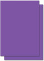 AKDC Chart Paper 50X70Cm Purple Single Sheet - Al Kabayel Discount CentreAKDC Chart Paper 50X70Cm Purple Single SheetCanvas Boards & SheetsAKDCAl Kabayel Discount Centre