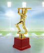 AKDC Cricket Male Trophy Childrens Cup for Sports Party Favors Gift Winner Rewards 20cm Gold&Maroon Color - Al Kabayel Discount CentreAKDC Cricket Male Trophy Childrens Cup for Sports Party Favors Gift Winner Rewards 20cm Gold&Maroon ColorSportsAKDCAl Kabayel Discount Centre