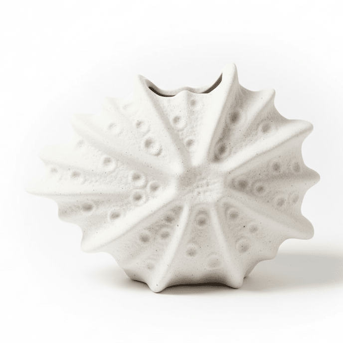 AKDC Decorative Shell - Shape Ceramic Vase – Elegant Beige Finish Artistic Home Décor Accent, 16 × 10 cm - Al Kabayel Discount CentreAKDC Decorative Shell - Shape Ceramic Vase – Elegant Beige Finish Artistic Home Décor Accent, 16 × 10 cmFlower/Plant PotsAKDCAl Kabayel Discount Centre