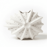 AKDC Decorative Shell - Shape Ceramic Vase – Elegant Beige Finish Artistic Home Décor Accent, 16 × 10 cm - Al Kabayel Discount CentreAKDC Decorative Shell - Shape Ceramic Vase – Elegant Beige Finish Artistic Home Décor Accent, 16 × 10 cmFlower/Plant PotsAKDCAl Kabayel Discount Centre