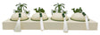 AKDC Desert Oasis Metal 4pcs Candy Bowls with Tray 51cm*14.5cm*14cm, Ivory/Green - Al Kabayel Discount CentreAKDC Desert Oasis Metal 4pcs Candy Bowls with Tray 51cm*14.5cm*14cm, Ivory/GreenBowlsAKDCAl Kabayel Discount Centre