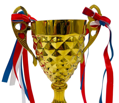 AKDC Gold Metal Trophies for Kids, Trophies and Awards for Kids Appreciation Reward Gift for Students, Employees or Teens, 24.5cm - Al Kabayel Discount CentreAKDC Gold Metal Trophies for Kids, Trophies and Awards for Kids Appreciation Reward Gift for Students, Employees or Teens, 24.5cmSportsAKDCAl Kabayel Discount Centre