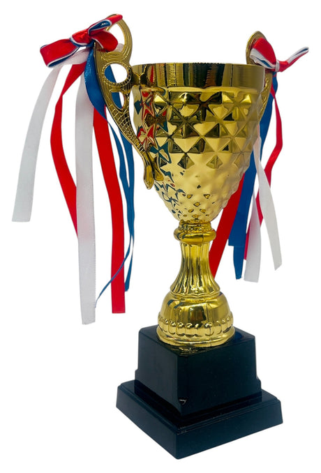 AKDC Gold Metal Trophies for Kids, Trophies and Awards for Kids Appreciation Reward Gift for Students, Employees or Teens, 24.5cm - Al Kabayel Discount CentreAKDC Gold Metal Trophies for Kids, Trophies and Awards for Kids Appreciation Reward Gift for Students, Employees or Teens, 24.5cmSportsAKDCAl Kabayel Discount Centre