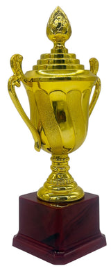 AKDC Gold Metal Trophy 22cm, First prize trophy Sports competition competition children's party suitable to encourage students and children - Al Kabayel Discount CentreAKDC Gold Metal Trophy 22cm, First prize trophy Sports competition competition children's party suitable to encourage students and childrenSportsAKDCAl Kabayel Discount Centre
