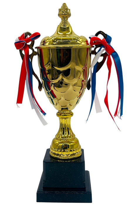 AKDC Gold Trophy Cup Sports Match Metal Trophy First Place Winner Awards for Tournaments, Competitions 31cm - Al Kabayel Discount CentreAKDC Gold Trophy Cup Sports Match Metal Trophy First Place Winner Awards for Tournaments, Competitions 31cmSportsAKDCAl Kabayel Discount Centre
