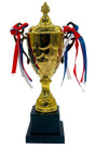 AKDC Gold Trophy Cup Sports Match Metal Trophy First Place Winner Awards for Tournaments, Competitions 31cm - Al Kabayel Discount CentreAKDC Gold Trophy Cup Sports Match Metal Trophy First Place Winner Awards for Tournaments, Competitions 31cmSportsAKDCAl Kabayel Discount Centre