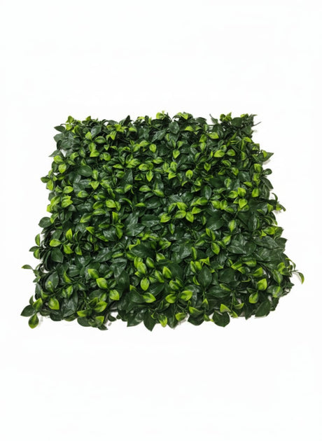 AKDC Green Weave Large Artificial Leaf Wall Panel – 55×55 cm Dense Green Foliage for Indoor & Outdoor Decoration - Al Kabayel Discount CentreAKDC Green Weave Large Artificial Leaf Wall Panel – 55×55 cm Dense Green Foliage for Indoor & Outdoor DecorationArtificial FloraAKDCAl Kabayel Discount Centre