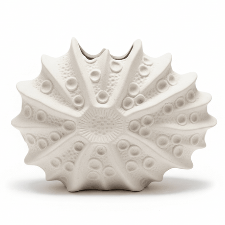 AKDC Luxury Shell - Inspired Ceramic Flower Vase – Elegant Beige Decorative Vase for Modern Interiors, 22 × 17 cm - Al Kabayel Discount CentreAKDC Luxury Shell - Inspired Ceramic Flower Vase – Elegant Beige Decorative Vase for Modern Interiors, 22 × 17 cmFlower/Plant PotsAKDCAl Kabayel Discount Centre