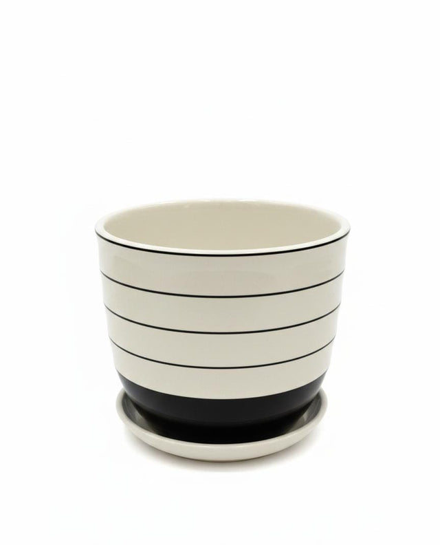 AKDC Modern White Ceramic Pot with Minimal Black Line Detailing – 15×17 cm - Al Kabayel Discount CentreAKDC Modern White Ceramic Pot with Minimal Black Line Detailing – 15×17 cmFlower/Plant PotsAKDCAl Kabayel Discount Centre