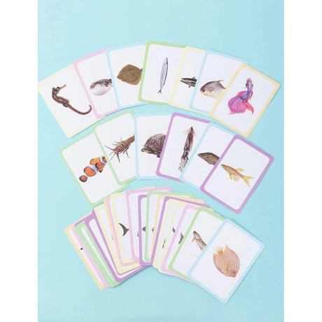 AKDC Ocean Fishs Flashcards, Early Education Awareness, 36 Cards - Al Kabayel Discount CentreAKDC Ocean Fishs Flashcards, Early Education Awareness, 36 CardsEducational ToysAKDCAl Kabayel Discount Centre