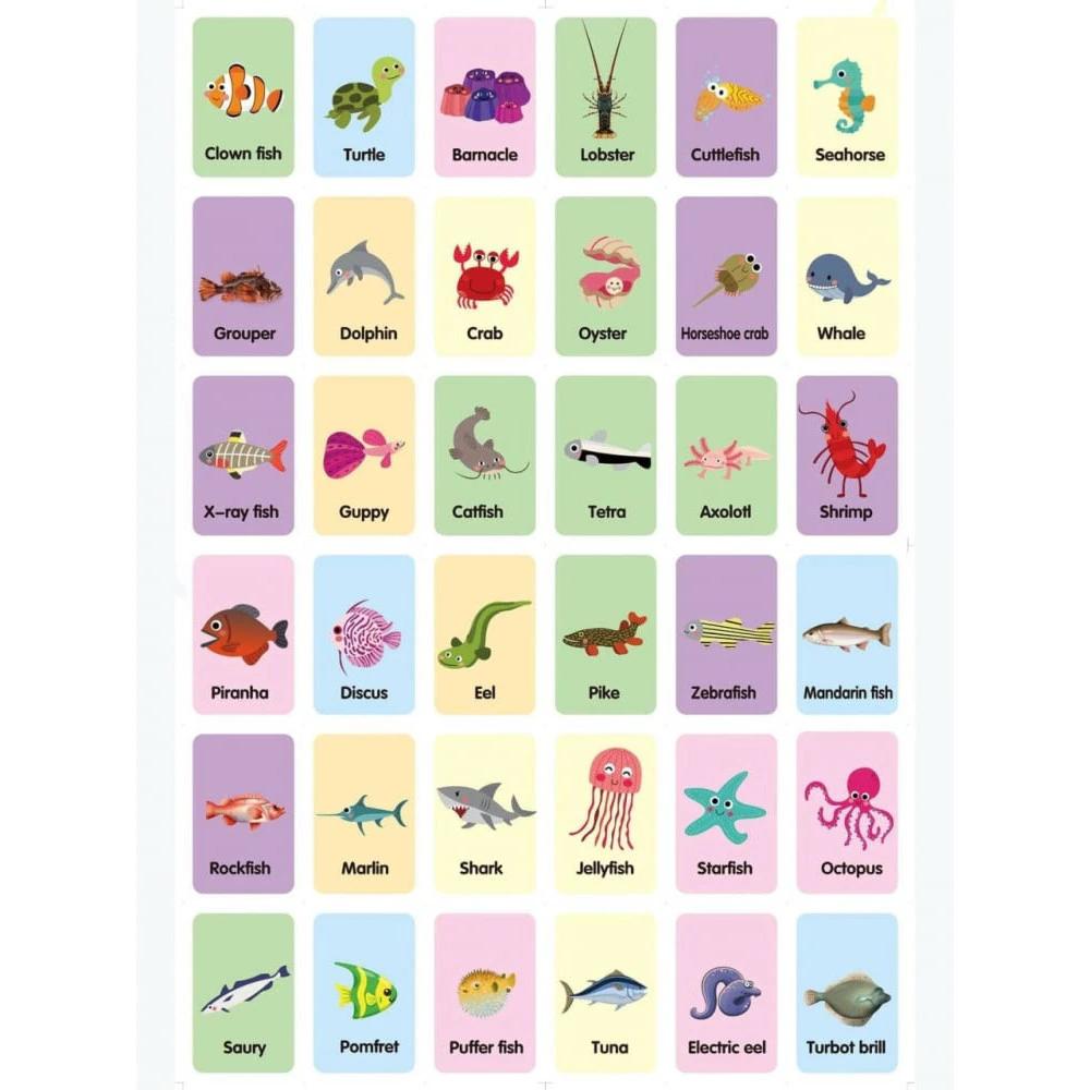 AKDC Ocean Fishs Flashcards, Early Education Awareness, 36 Cards - Al Kabayel Discount CentreAKDC Ocean Fishs Flashcards, Early Education Awareness, 36 CardsEducational ToysAKDCAl Kabayel Discount Centre